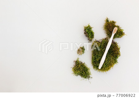 Wooden tooth brush flat lay on white background with green moss 77006922