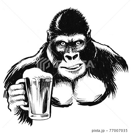 Gorilla ape drinking a mug of beer. Ink black and white drawing Gorilla ape drinking a mug of beer. Ink black and white drawing 77007035