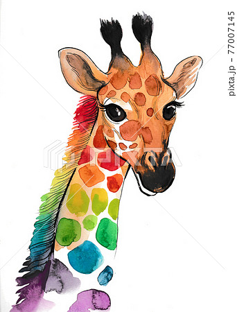 Rainbow colored giraffe. Ink and watercolor...のイラスト素材