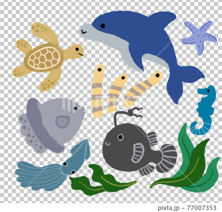 海洋生物插圖素材集 海洋生物插圖素材集 77007353