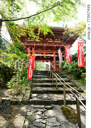 勝利寺 仁王門 (和歌山県九度山町) 勝利寺 仁王門 (和歌山県九度山町) 77007499