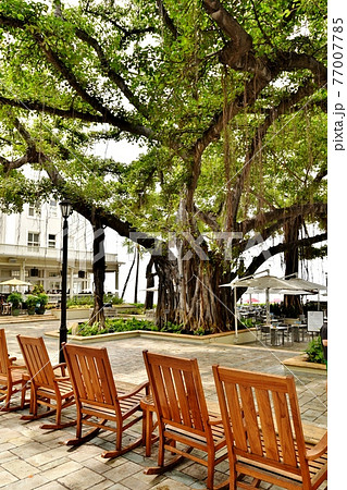 ハワイの休日 77007785