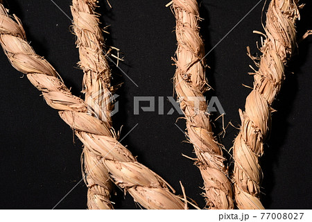 大綱挽の縄 大綱挽の縄 77008027