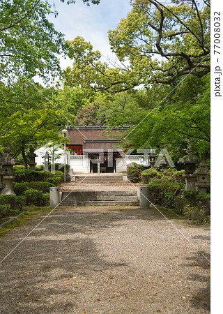 壺井八幡宮　【大阪府羽曳野市壺井】 77008032