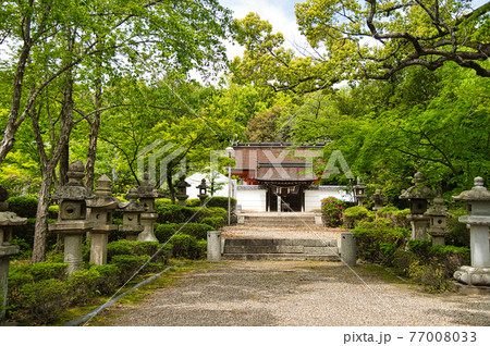 壺井八幡宮　【大阪府羽曳野市壺井】 77008033