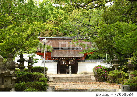 壺井八幡宮　【大阪府羽曳野市壺井】 77008034