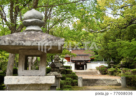 壺井八幡宮　【大阪府羽曳野市壺井】 77008036
