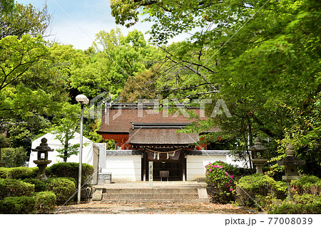 壺井八幡宮 【大阪府羽曳野市壺井】 壺井八幡宮 【大阪府羽曳野市壺井】 77008039