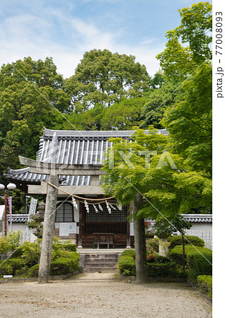 壺井八幡宮　壺井権現社拝殿【大阪府羽曳野市壺井】 77008093
