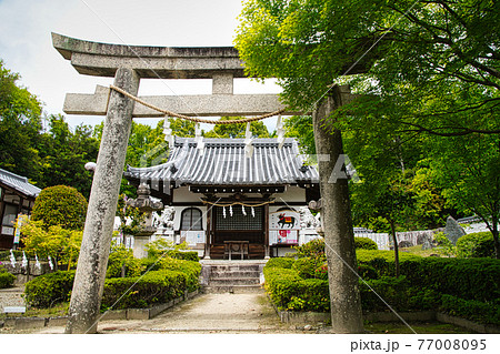 壺井八幡宮　壺井権現社拝殿【大阪府羽曳野市壺井】 77008095