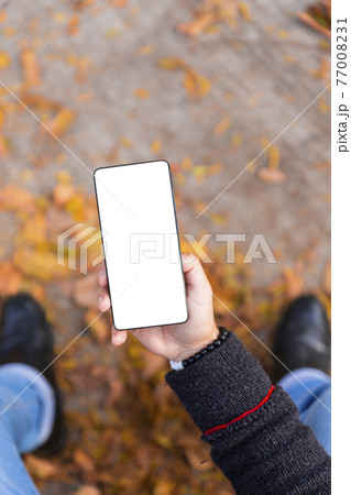 Man holding smartphone with white screen outdoors with yellow autumn leaves on the ground. Empty display for copy space 77008231