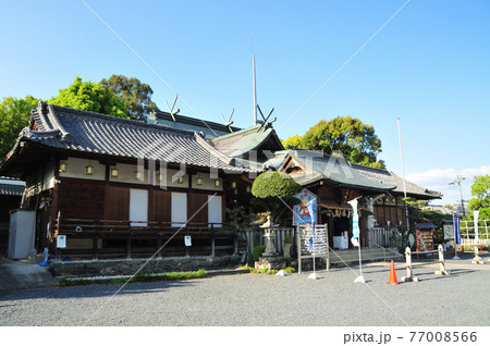 隅田八幡神社 拝殿【和歌山県橋本市隅田】 隅田八幡神社 拝殿【和歌山県橋本市隅田】 77008566