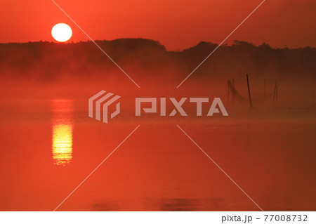印旛沼の日の出 印旛沼の日の出 77008732