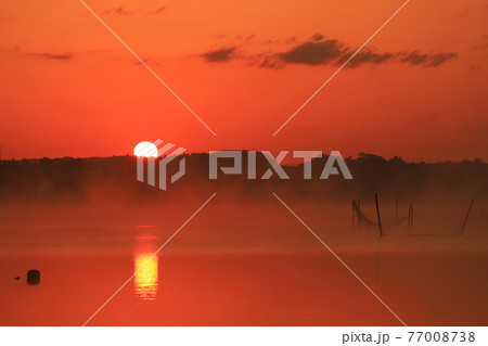 印旛沼の日の出 77008738