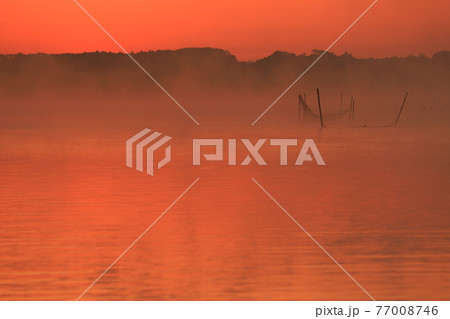 印旛沼の日の出 印旛沼の日の出 77008746