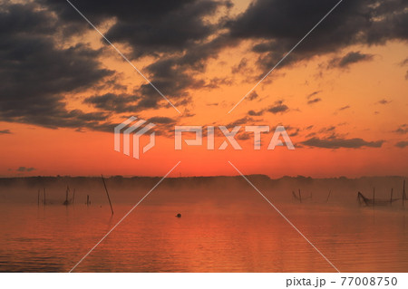 印旛沼の日の出 印旛沼の日の出 77008750