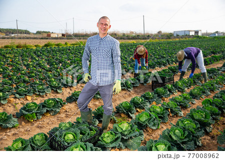 Portrait of man farmer in gloves standing in farm field 77008962