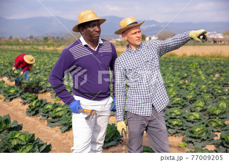 Owner of the farm field tells hired worker what to do 77009205