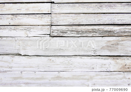 White wood texture 77009690