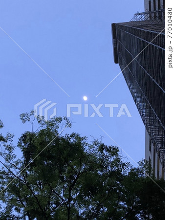 宵の月を見上げて 77010480