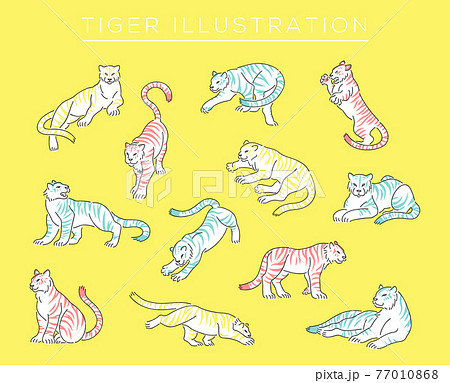 手描き風のトラのイラストセット 手描き風のトラのイラストセット 77010868