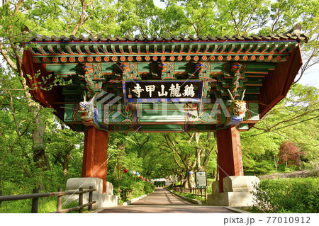 韓国 寺院 木 77010912