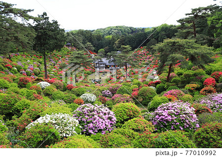 塩船観音寺（しおぶねかんのんじ）　護摩堂　東京都青梅市塩船　 77010992
