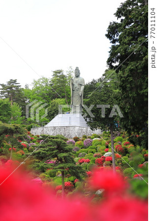 塩船観音寺(しおぶねかんのんじ)観音像 東京都青梅市塩船  塩船観音寺(しおぶねかんのんじ)観音像 東京都青梅市塩船  77011104