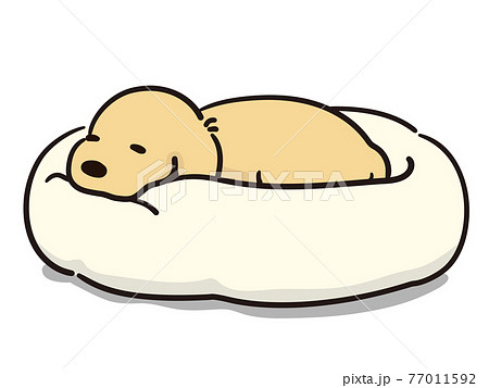 ペットベッドでリラックスをする犬 ペットベッドでリラックスをする犬 77011592