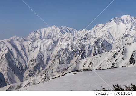 雪の白馬八方山から青空の北アルプス鹿島槍ヶ岳 77011617