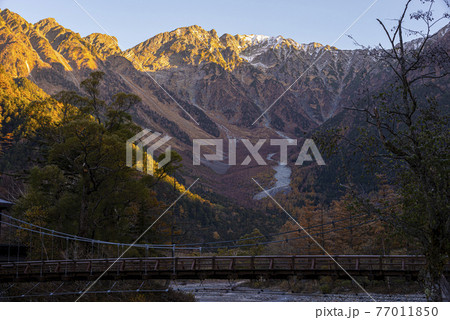 かっぱ橋 77011850