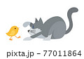 猫のイラスト　ねこ　ネコ　cat　動物　スノーシュー 77011864