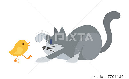 猫のイラスト　ねこ　ネコ　cat　動物　スノーシュー 77011864