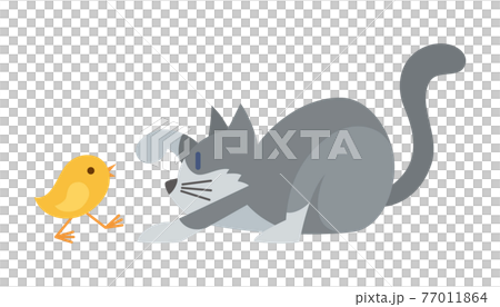猫のイラスト　ねこ　ネコ　cat　動物　スノーシュー 77011864