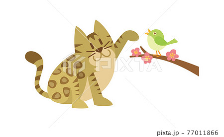 猫のイラスト ねこ ネコ Cat 動物 ベンガルのイラスト素材