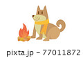 犬のイラスト　いぬ　イヌ　dog　動物　柴犬 77011872