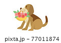 犬のイラスト　いぬ　イヌ　dog　動物　ビーグル犬 77011874