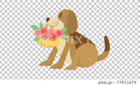 犬のイラスト　いぬ　イヌ　dog　動物　ビーグル犬 77011874