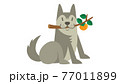 犬のイラスト　いぬ　イヌ　dog　動物　ハスキー　シベリアン・ハスキー　アラスカン・マラミュート 77011899