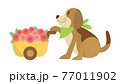 犬のイラスト　いぬ　イヌ　dog　動物　ビーグル犬 77011902