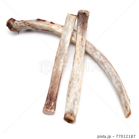 Rib bones Rib bones 77012187