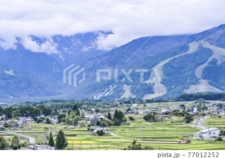 長野県 白馬村の風景 長野県 白馬村の風景 77012252