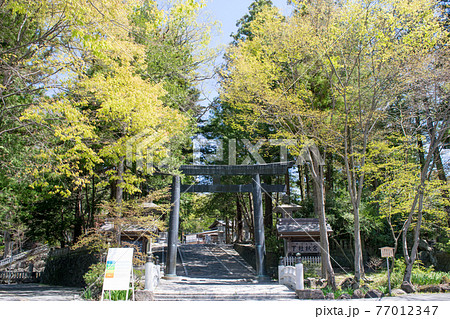 長野県　諏訪大社下社　秋宮 77012347