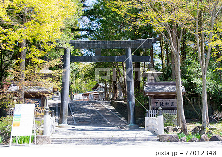 長野県 諏訪大社下社 秋宮 長野県 諏訪大社下社 秋宮 77012348