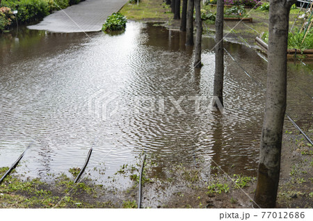 豪雨のあとに水没した道路 77012686