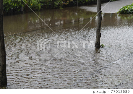 豪雨のあとに水没した道路 77012689