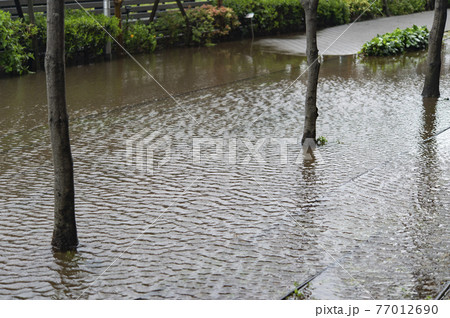 豪雨のあとに水没した道路 77012690