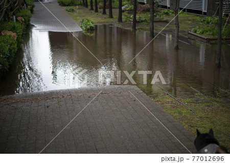 豪雨のあとに水没した道路 77012696