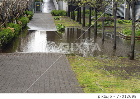 豪雨のあとに水没した道路 77012698