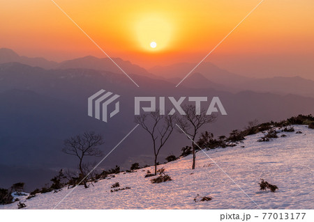 雪の白馬八方尾根から戸隠連峰に昇る朝日 77013177